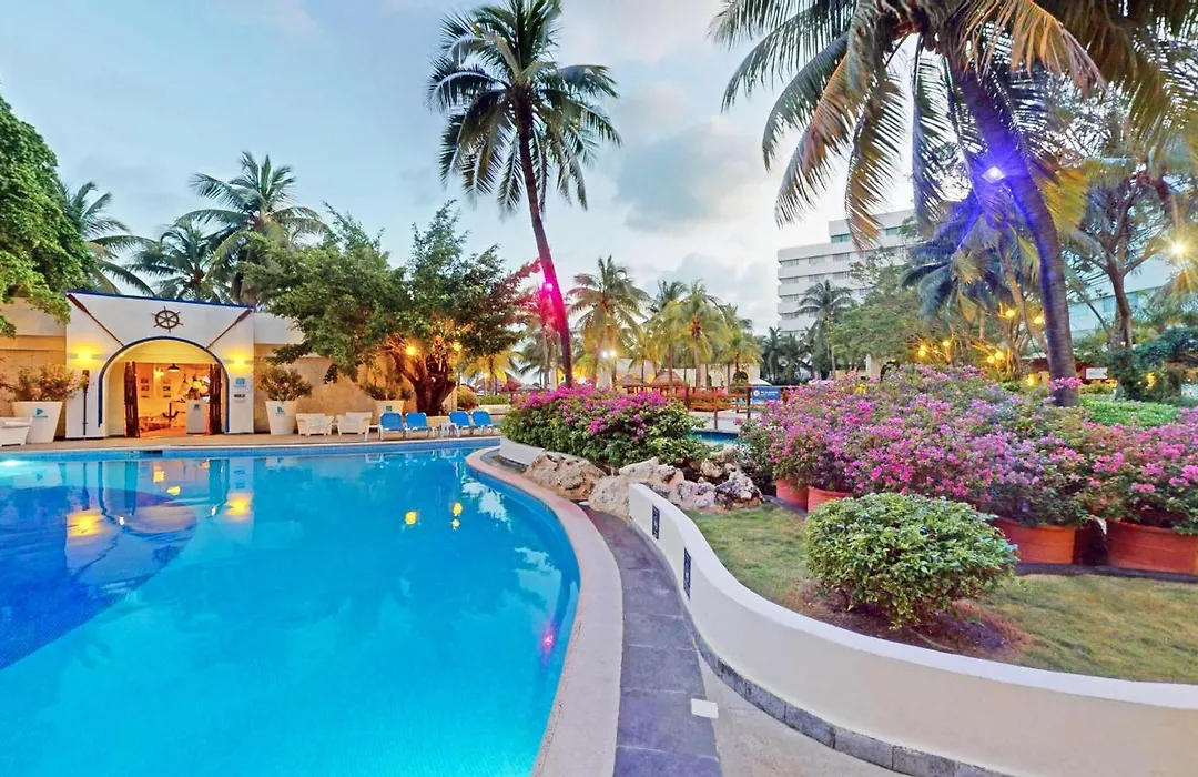 Oasis Palm-1